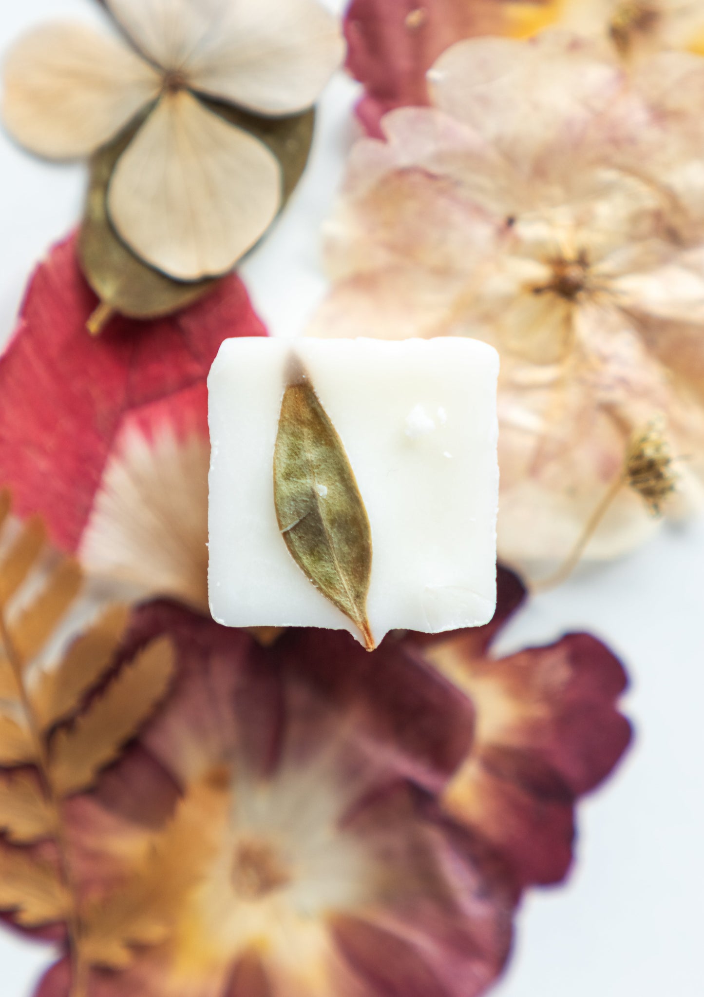 soy melt in blossom fragrance