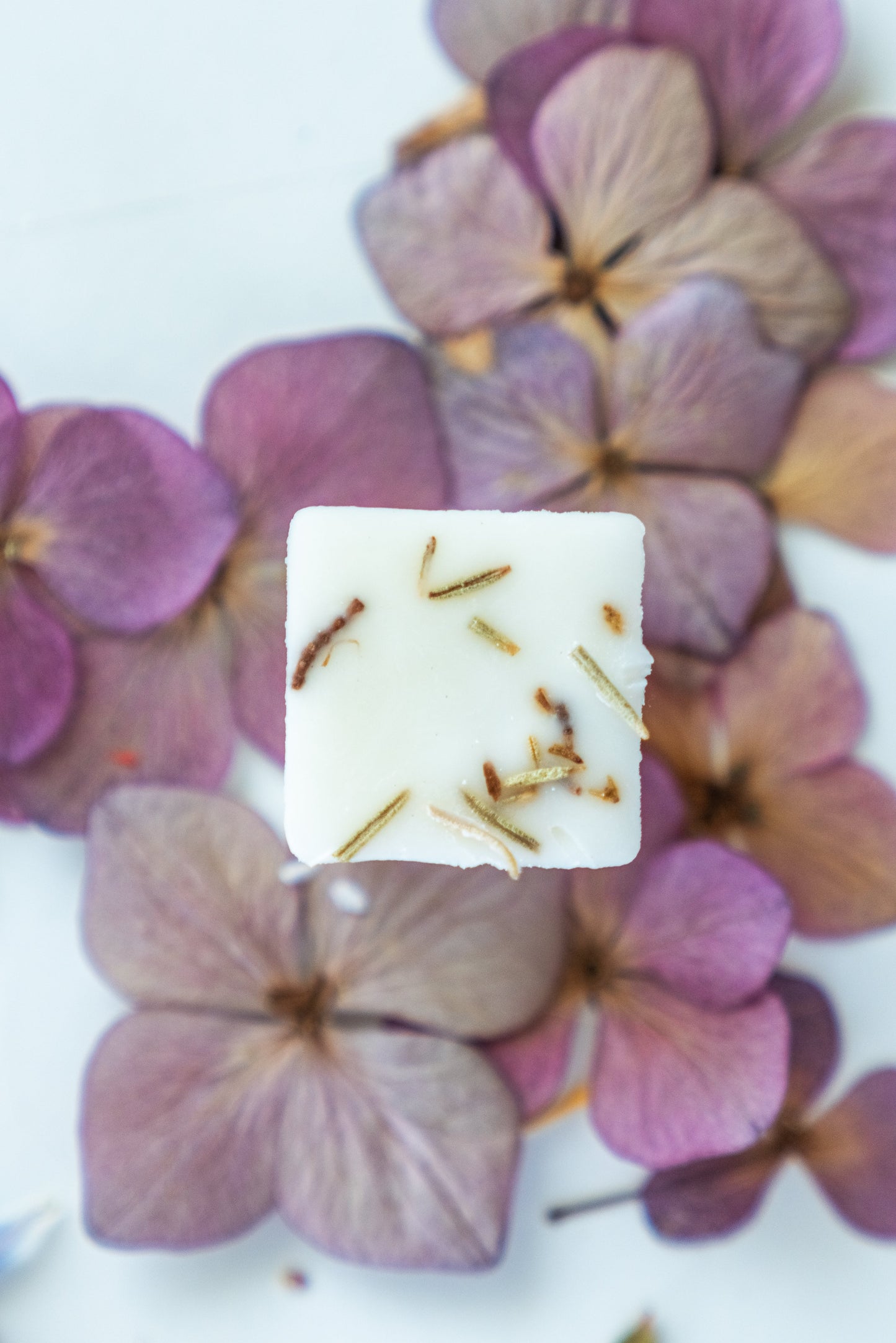 Boema Early Light Bloom Fragrance