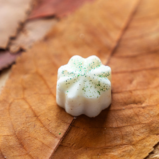 Peachy-Keen fragrance melts